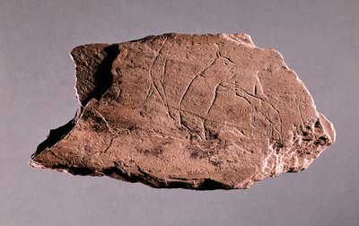 Ciottolo che raffigura un uomo attaccato da un orso, da Pechialet, Dordogna da Prehistoric